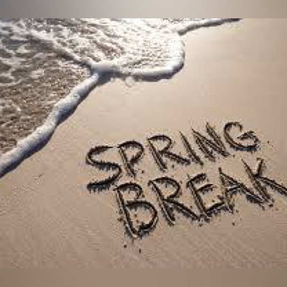 One mystery pick - Picture 4 of 14